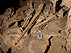 2007