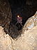 2007