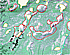 2007
