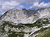 2007