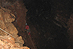 2007