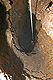 2007