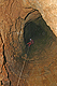 2007