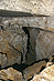 2007