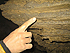 2007