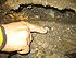 2007